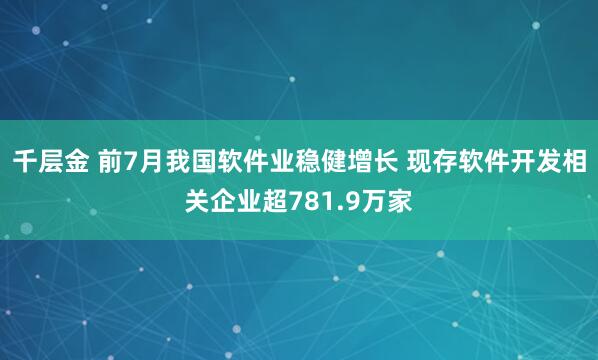 千层金 前7月我国软件业稳健增长 现存软件开发相关企业超781.9万家