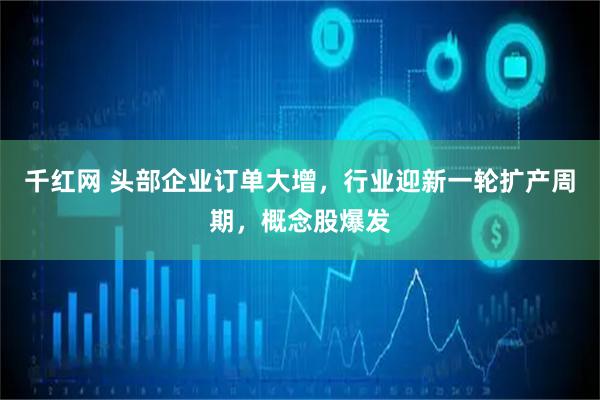 千红网 头部企业订单大增，行业迎新一轮扩产周期，概念股爆发