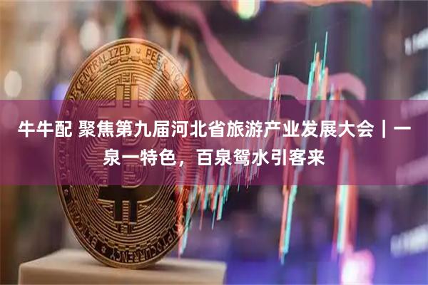 牛牛配 聚焦第九届河北省旅游产业发展大会｜一泉一特色，百泉鸳水引客来