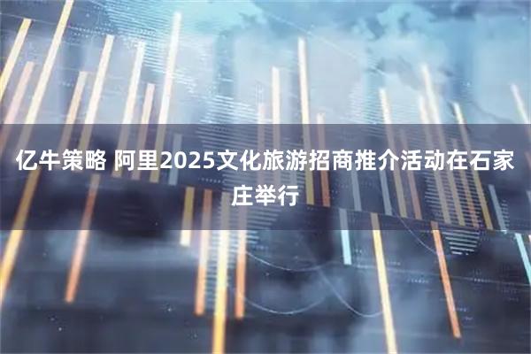 亿牛策略 阿里2025文化旅游招商推介活动在石家庄举行