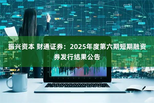 振兴资本 财通证券：2025年度第六期短期融资券发行结果公告