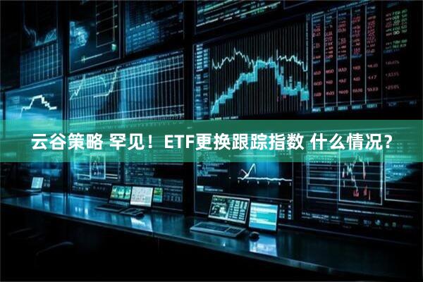 云谷策略 罕见！ETF更换跟踪指数 什么情况？