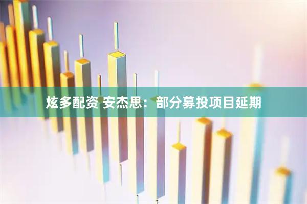 炫多配资 安杰思：部分募投项目延期