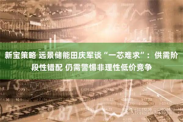 新宝策略 远景储能田庆军谈“一芯难求”：供需阶段性错配 仍需警惕非理性低价竞争