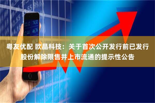 粤友优配 欧晶科技：关于首次公开发行前已发行股份解除限售并上市流通的提示性公告