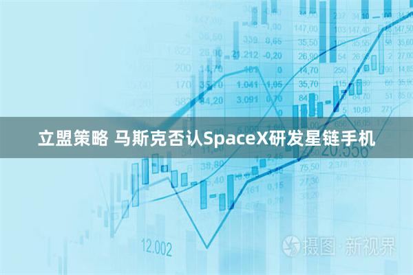 立盟策略 马斯克否认SpaceX研发星链手机