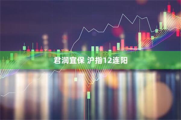 君润宜保 沪指12连阳