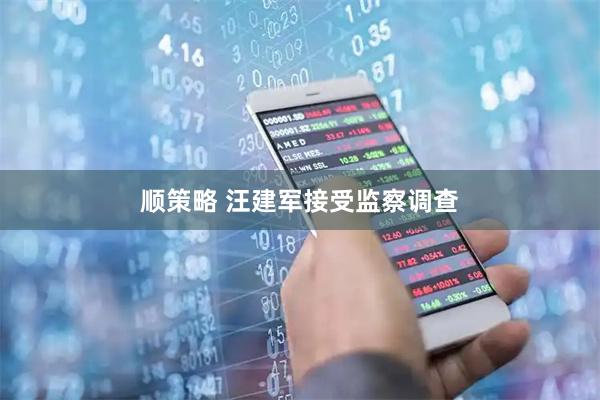 顺策略 汪建军接受监察调查