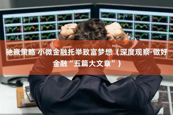 驰赢策略 小微金融托举致富梦想(深度观察·做好金融“五篇大文章”)