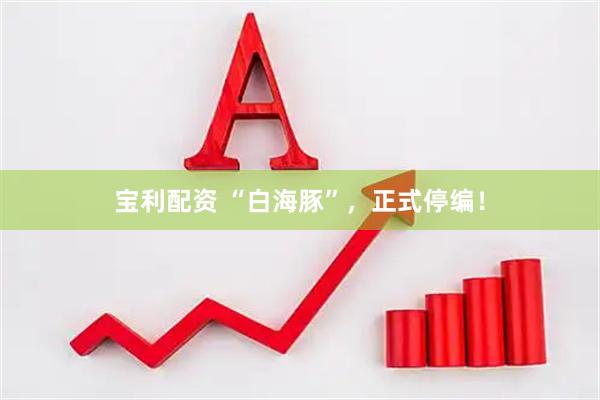 宝利配资 “白海豚”，正式停编！